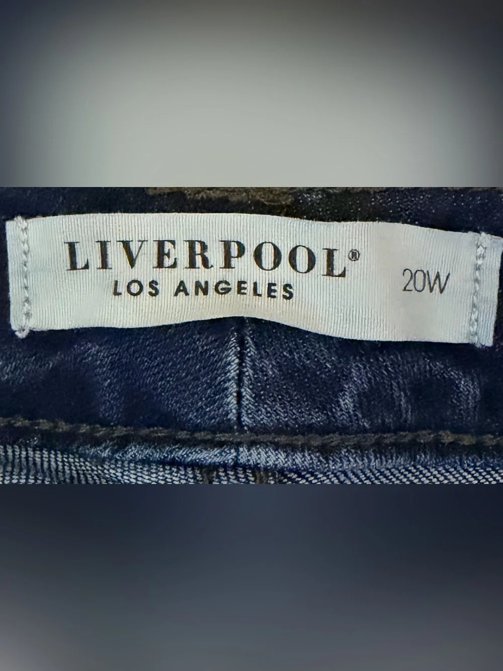 Liverpool Straight Leg Jeans Dark Wash Eco Aesthetic Women’s Size 20W Minimalist